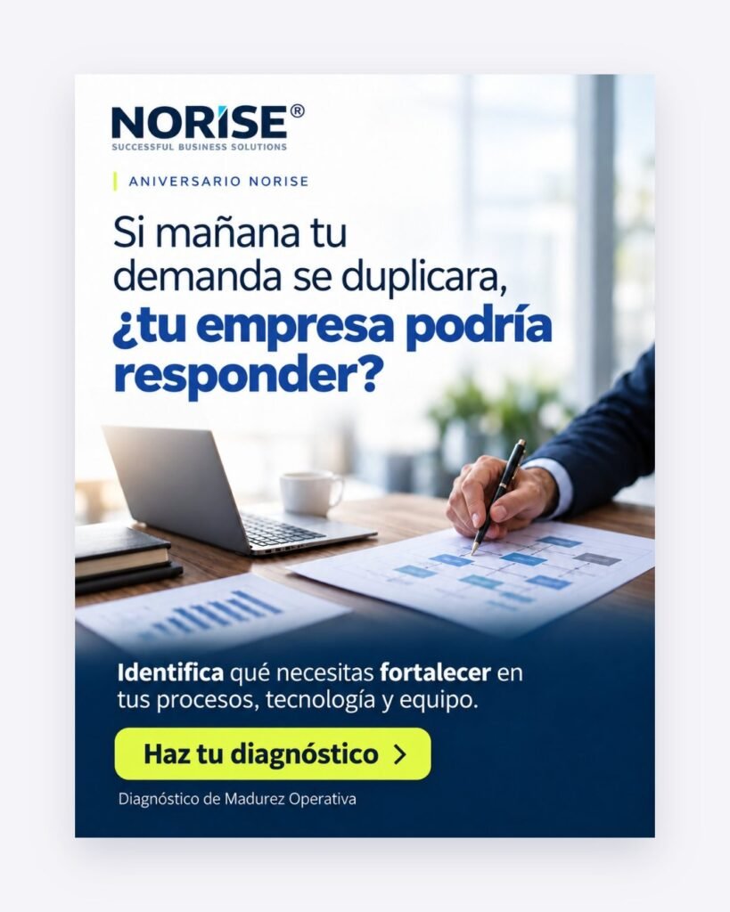 Norise: pieza sobre diagnóstico organizacional
